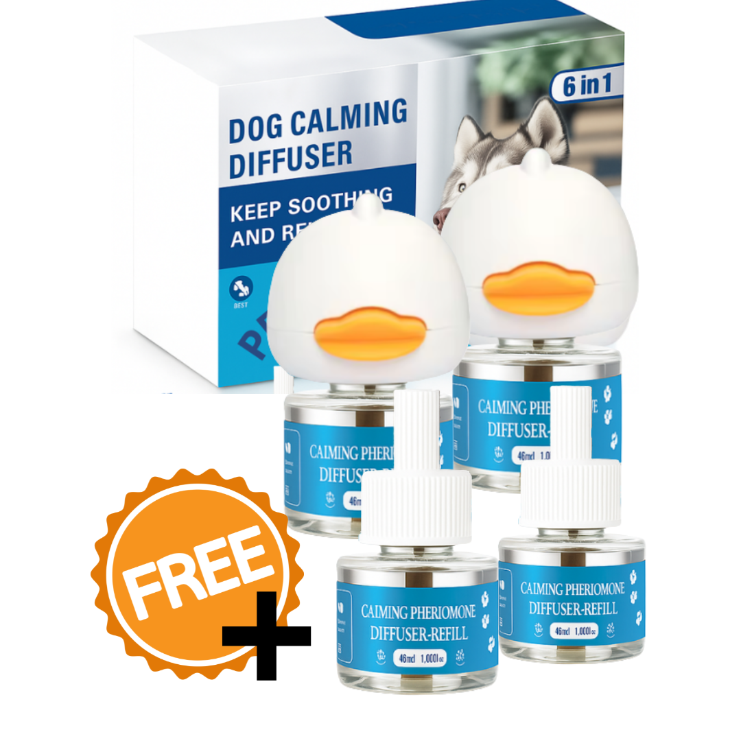 2 Difusor + 4 Repuestos