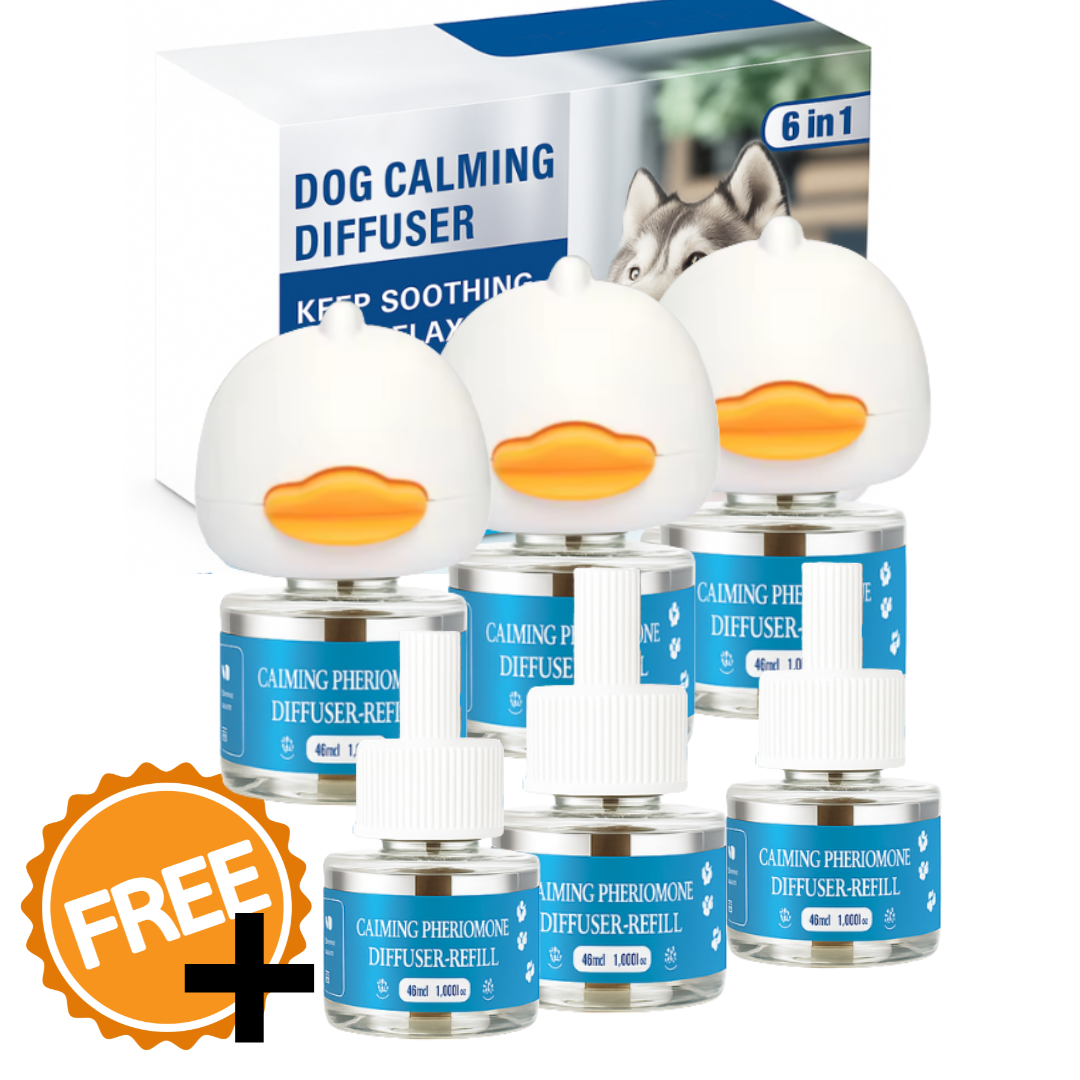 3 Difusor + 6 Repuestos