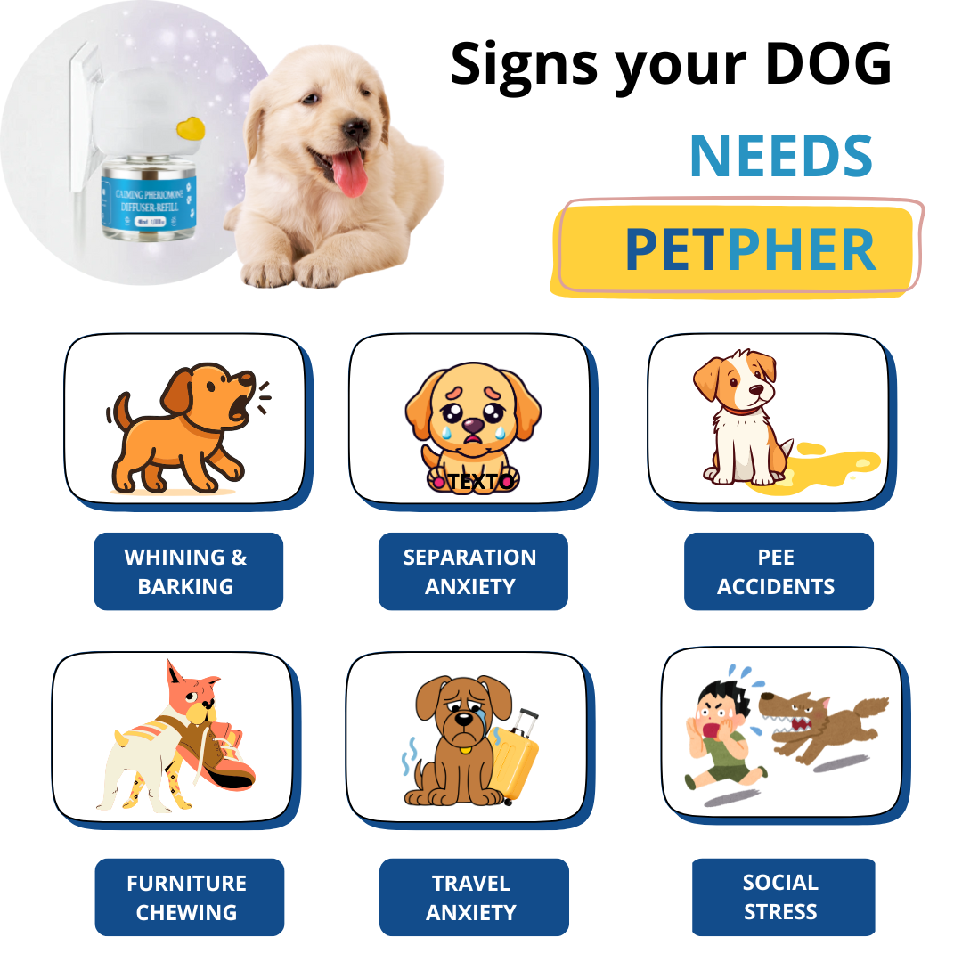 PetPher™ Dog Calming Formula Kit