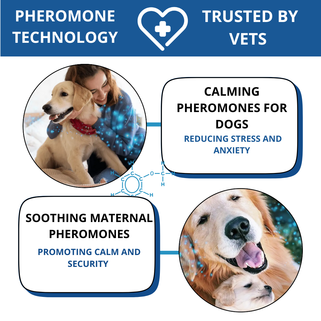 PetPher™ Dog Calming Formula Kit