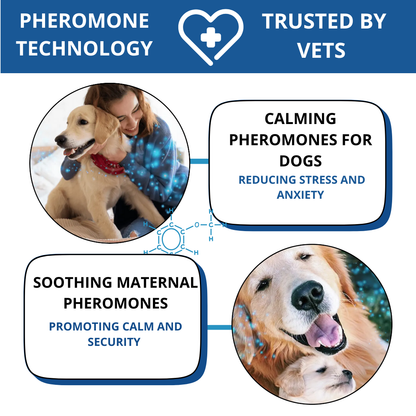 PetPher™ Dog Calming Formula Kit